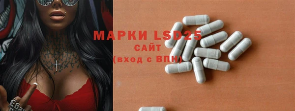 ПСИЛОЦИБИНОВЫЕ ГРИБЫ Жердевка