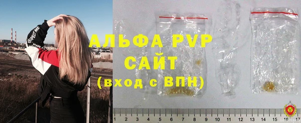 ECSTASY Богородицк