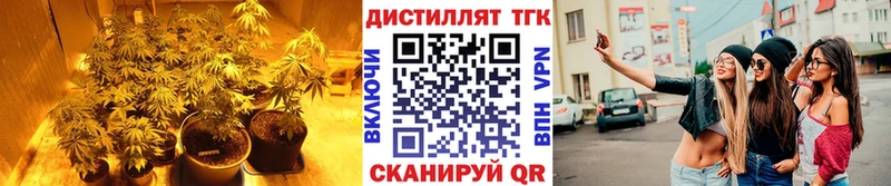 Дистиллят ТГК вейп  Велиж 