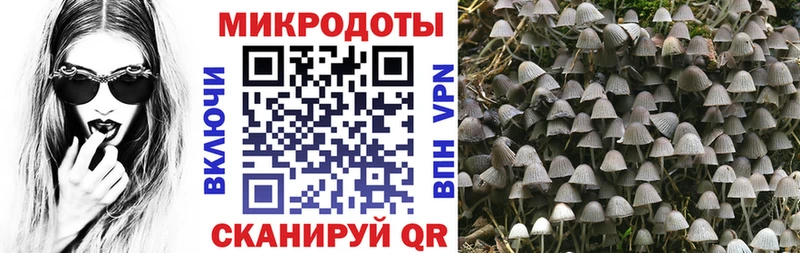 Галлюциногенные грибы прущие грибы  МЕГА зеркало  Велиж 